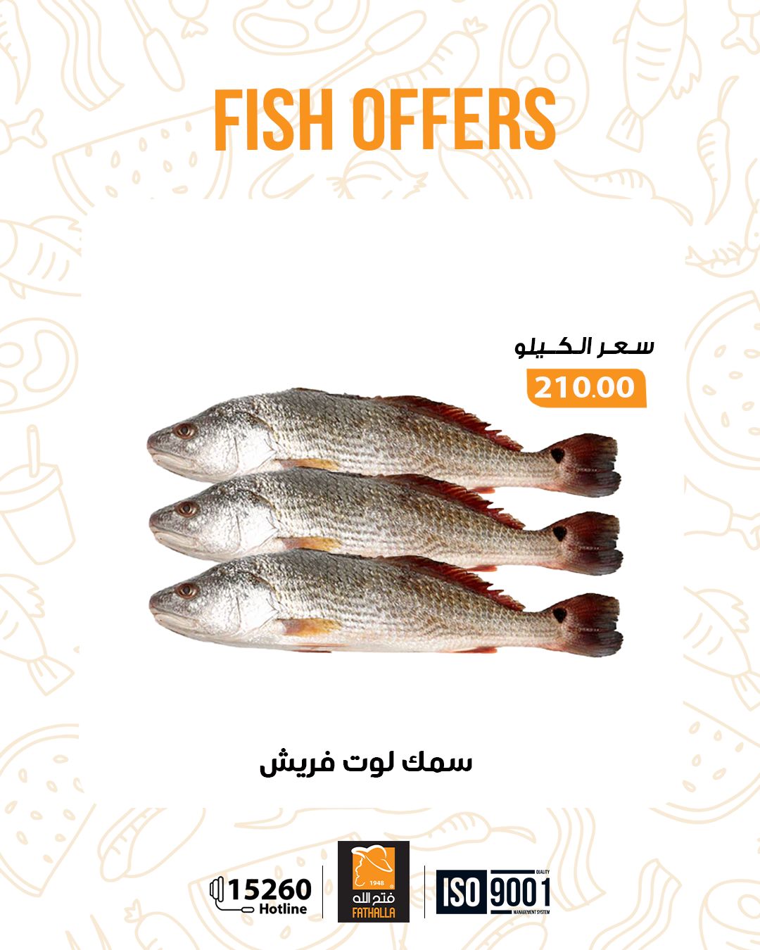 fathalla offers from 29dec to 7jan 2026 عروض فتح الله من 29 ديسمبر حتى 7 يناير 2026 صفحة رقم 11